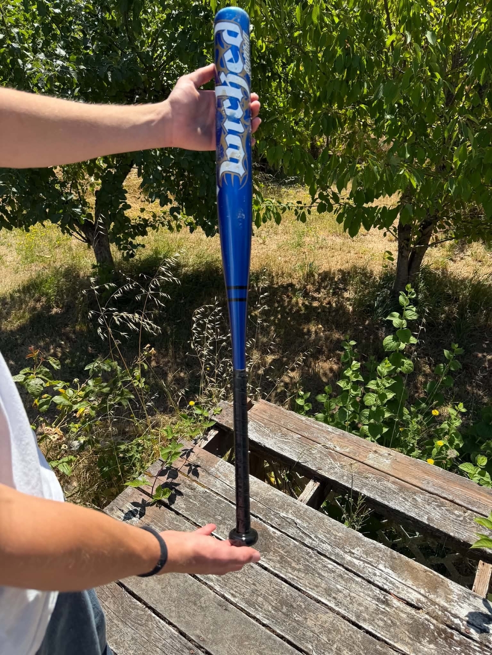 Worth Wicked Bat